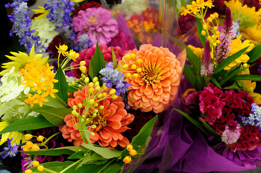 Autumn Blooms: The Best Seasonal Flowers to Buy in March