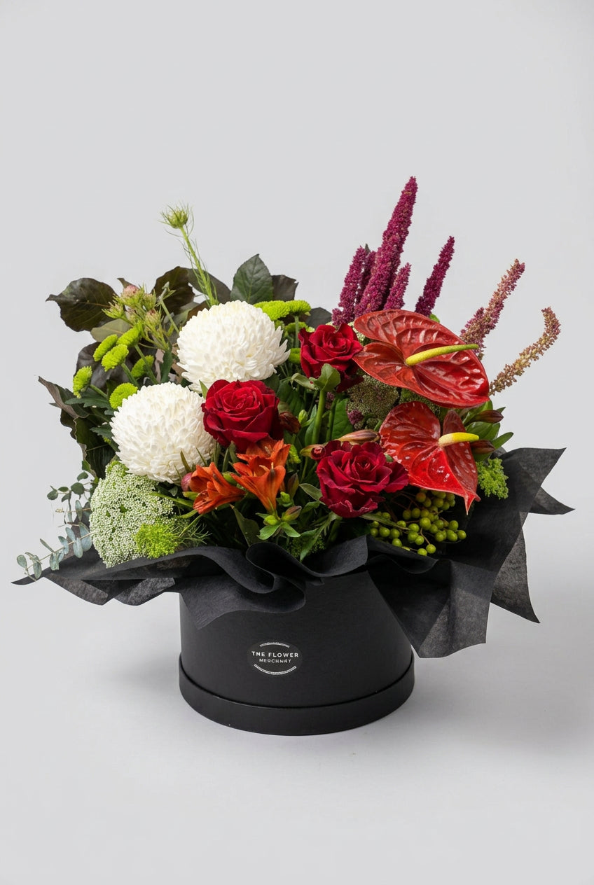 Scarlet Red – Box