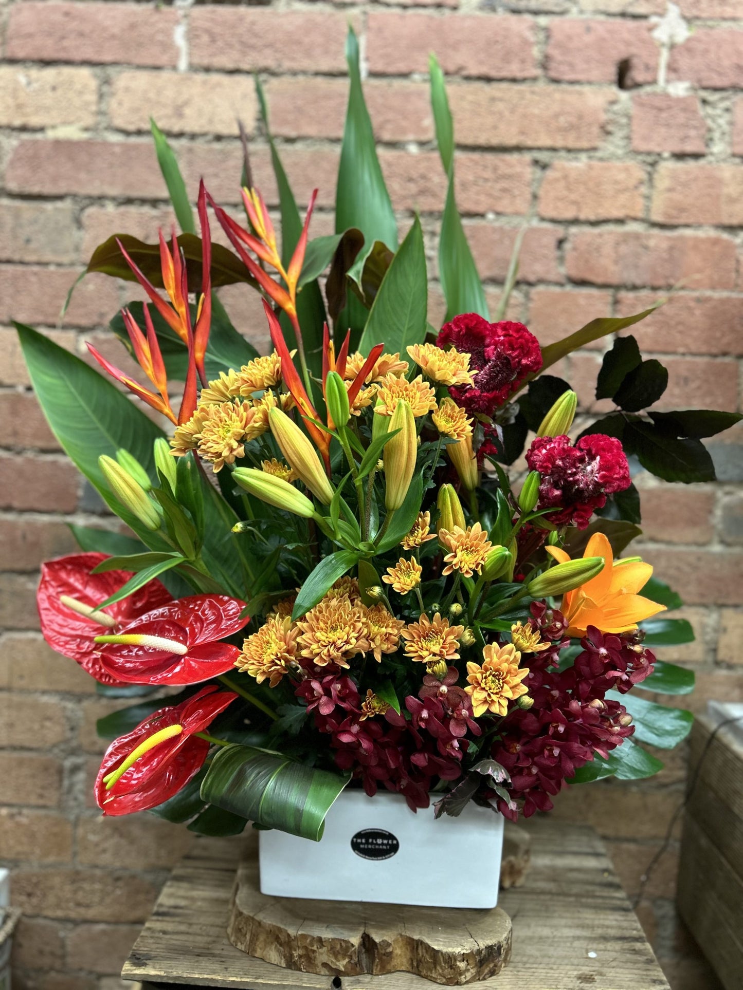 Tropical Arrangement