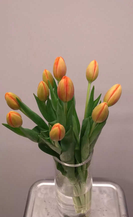 How a Florist Transforms Simple Flowers into Meaningful Everyday Gifts