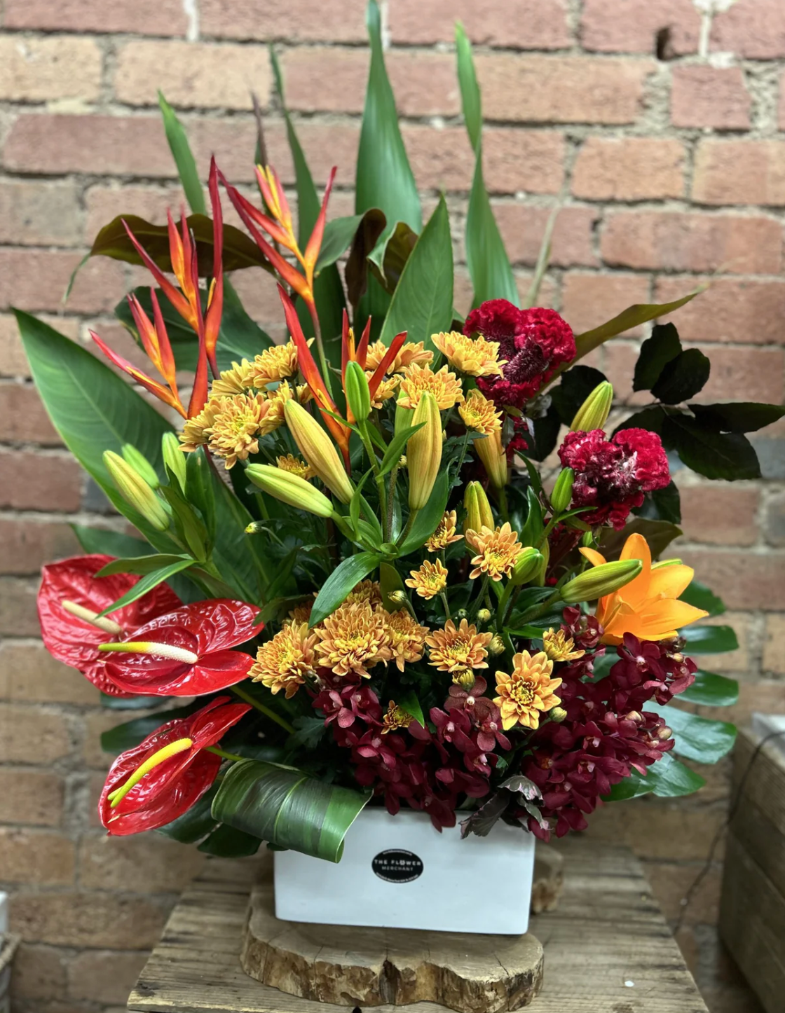 Vibrant Flowers Collection
