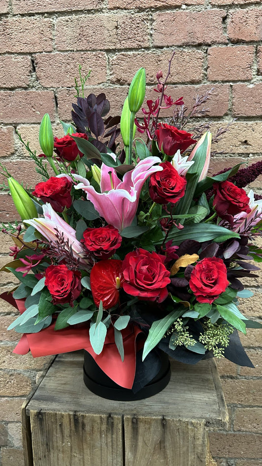 Vibrant Red – Box