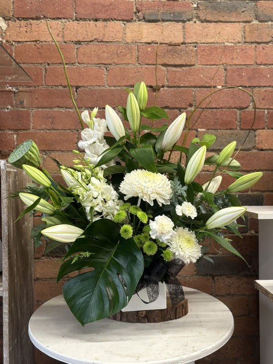 White Collection – Ceramic