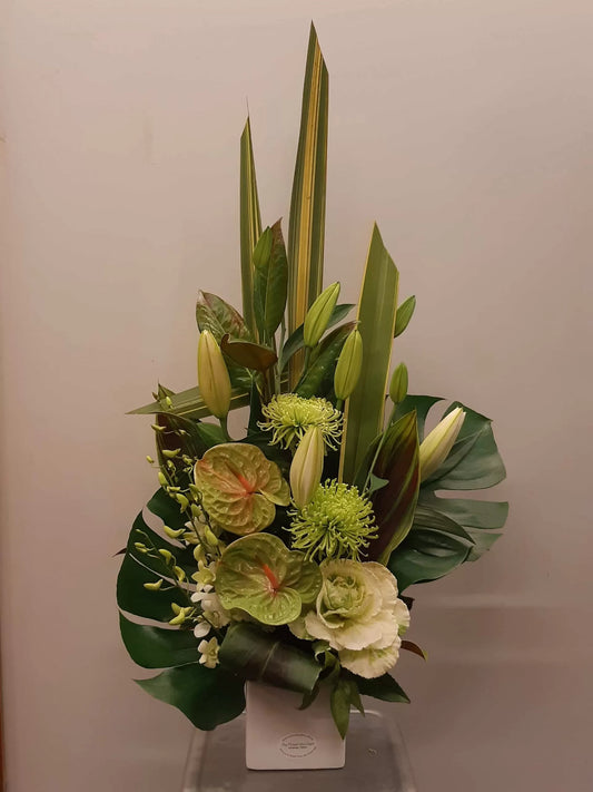 White Tropical Collection – Ceramic