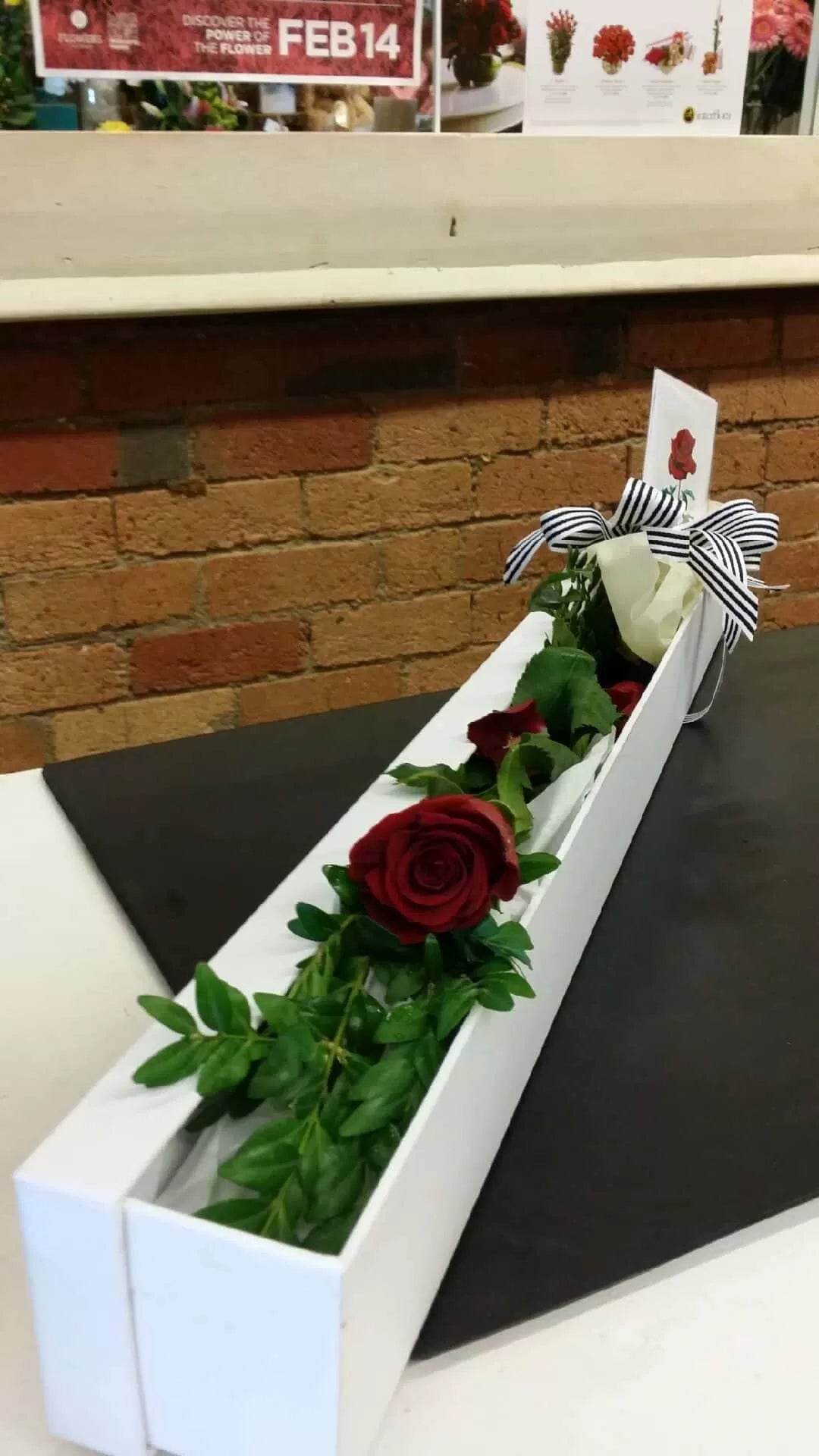 Single Red Rose