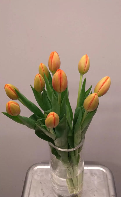 Tulip Bunch