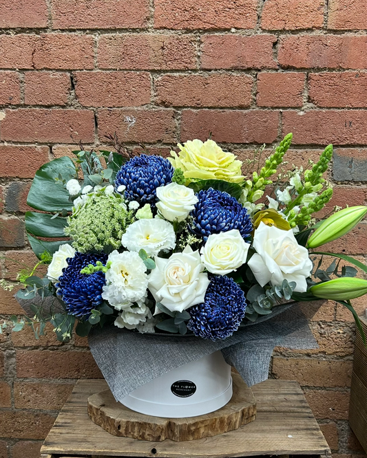 Royal Blue - Box