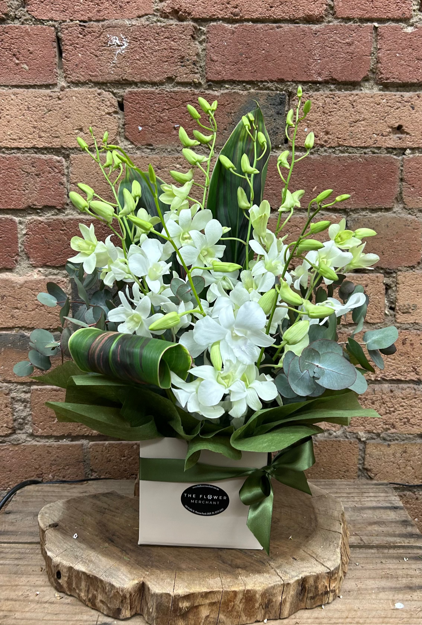 Singapore Orchid Box