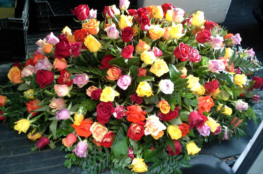 Casket Cover Roses
