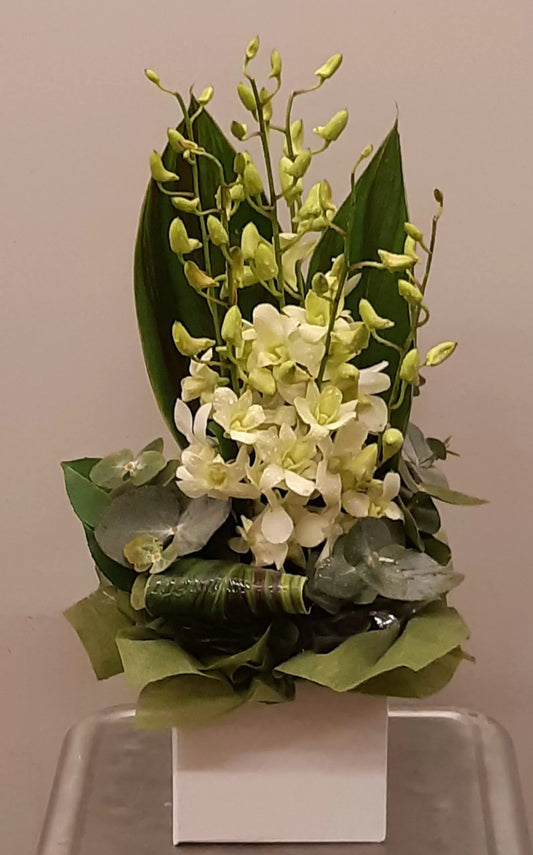 Singapore Orchid Box
