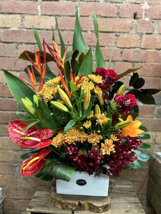 Tropical Arrangement