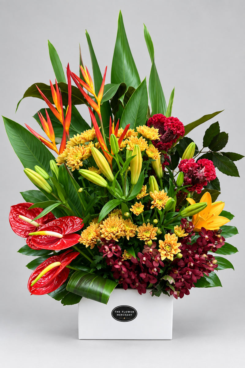 Tropical Arrangement