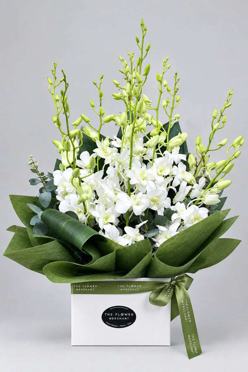 Singapore Orchid Box