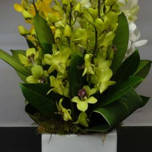 Ferntree Gully & Upper flower delivery