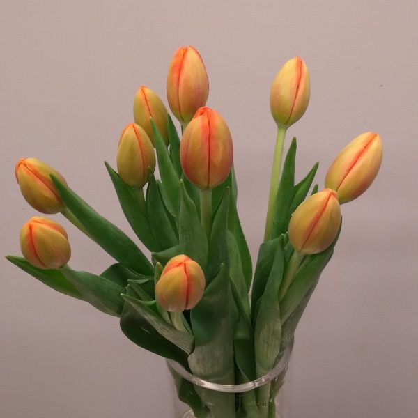 Flower Design Caddilac