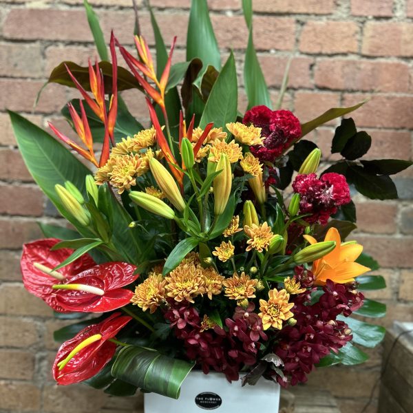 Tropical Arrangement