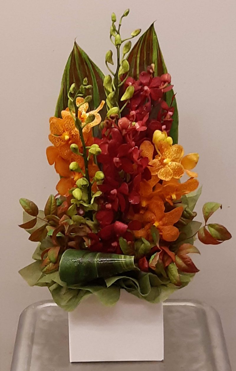 Vibrant Orchid Box